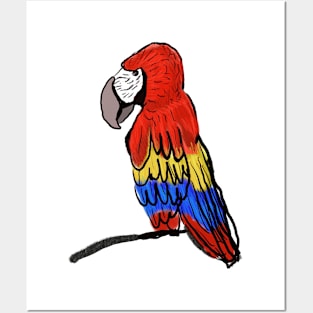 Macaw Rainbow Parrot Posters and Art